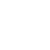 shield shield